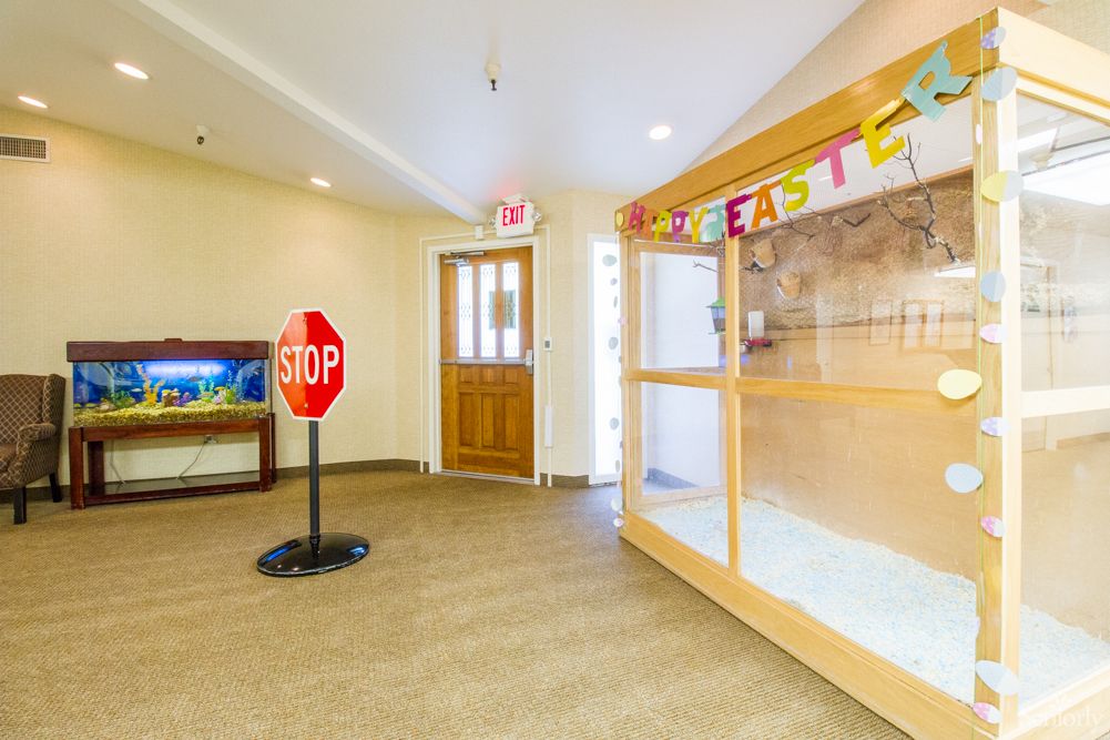 A brightly decorated daycare interior featuring a stop sign and colorful banners.