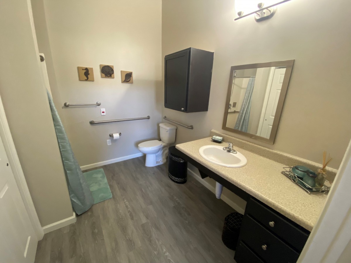 An accessible bathroom with a shower, sink, toilet, and grab bars.