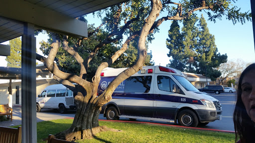 An ambulance parked beside a tree in a sunny outdoor setting.