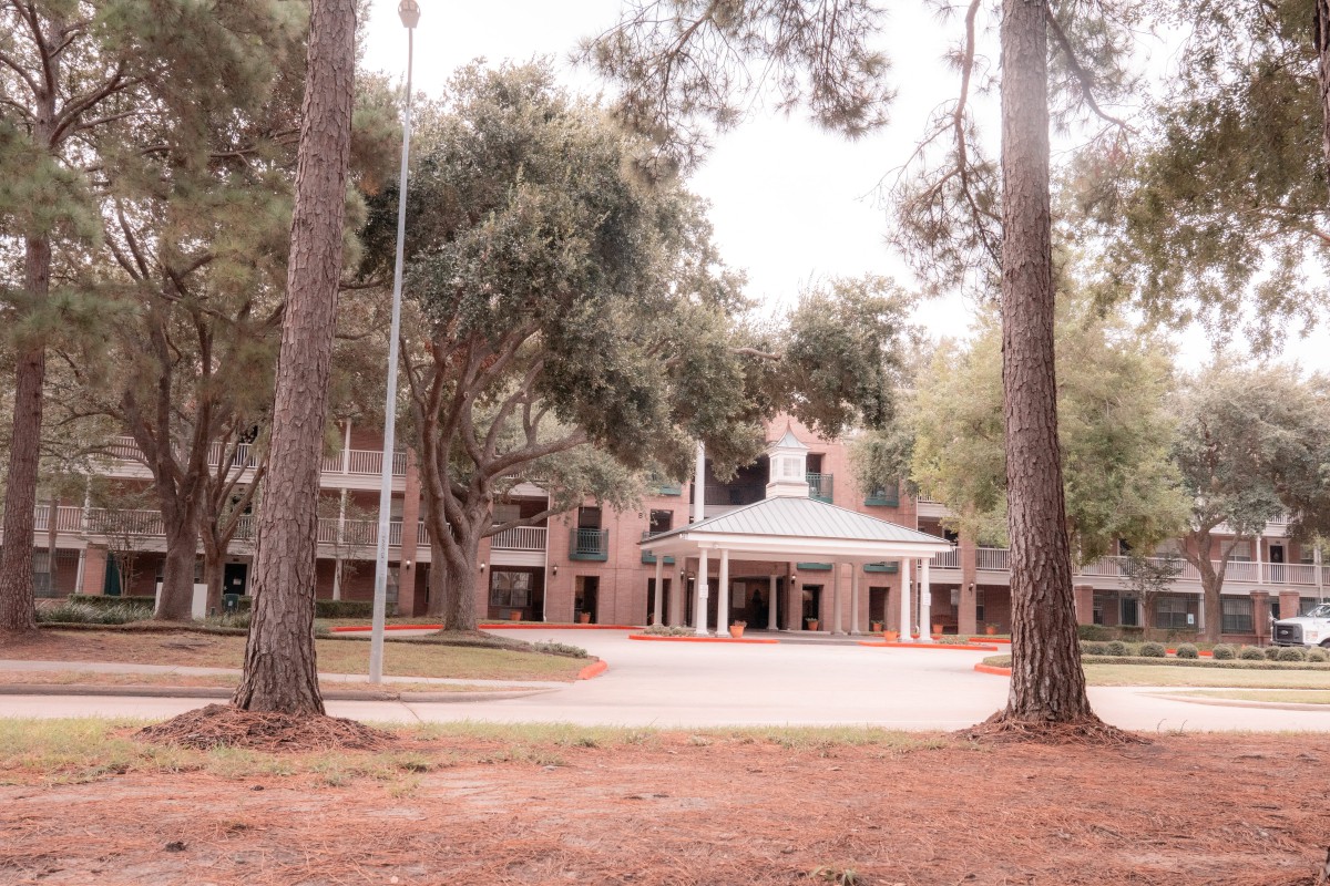 A building surrounded by tall pine trees with a prominent entrance and paved pathway.