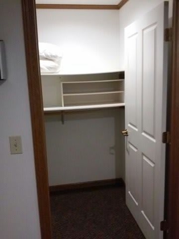 An empty closet with shelves and an open door.