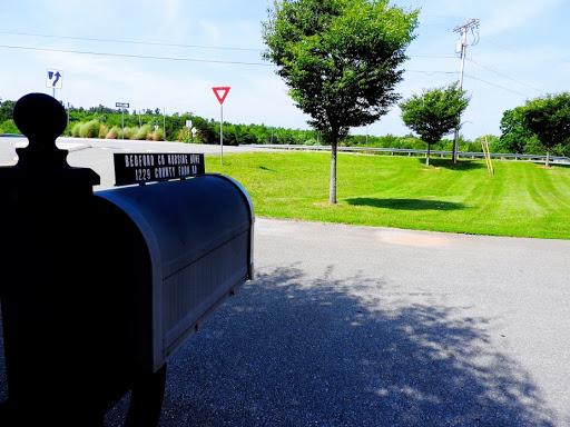 A mailbox stands by the roadside, surrounded by green lawns and trees under a clear blue sky.