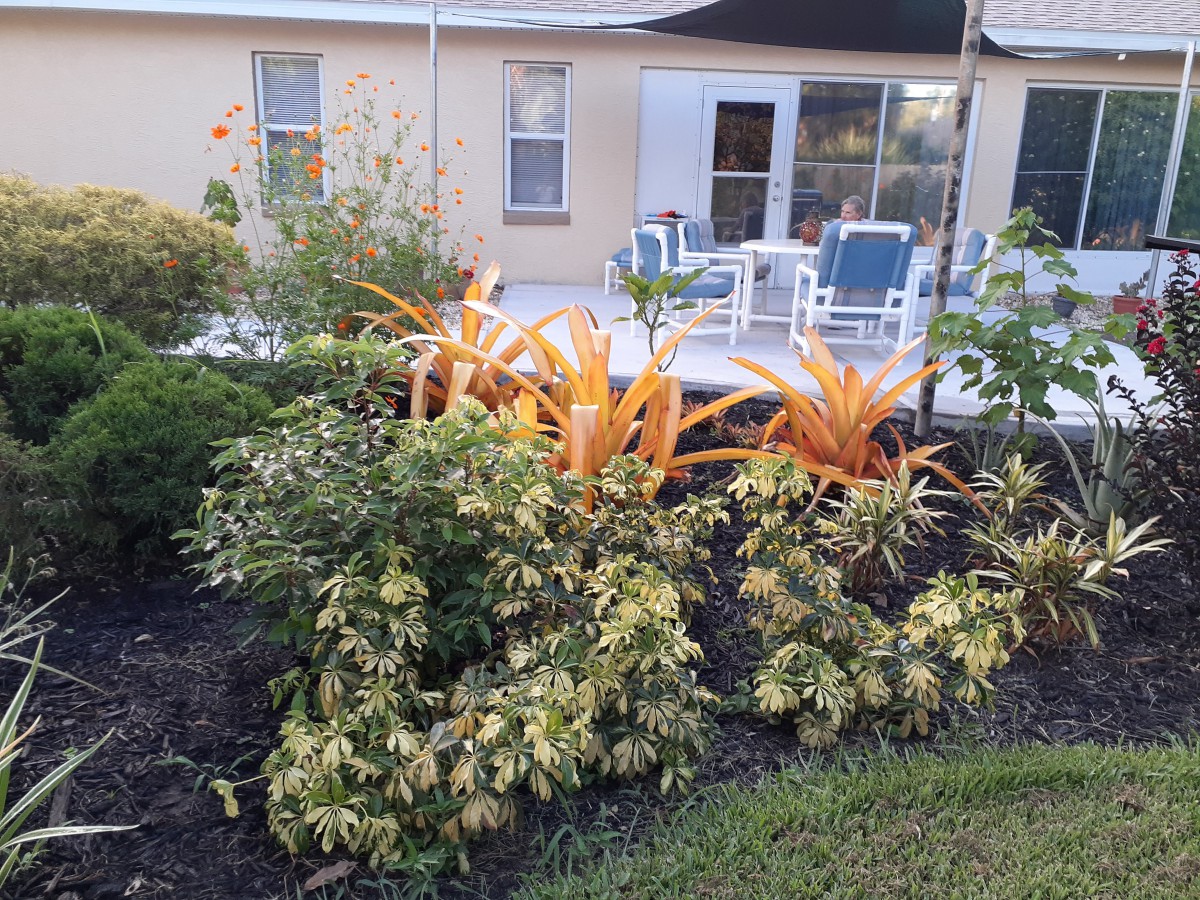 A backyard garden with vibrant plants and a patio area.