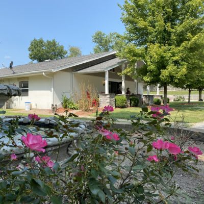 A serene view of a house with a garden full of blooming roses and lush green trees.