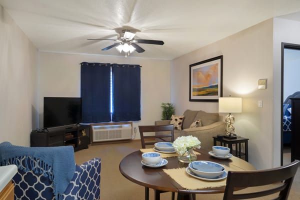 Cozy living and dining room with stylish decor and blue accents.