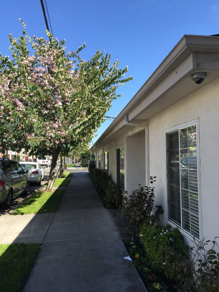 A residential street view with a sidewalk, trees, and building exterior.