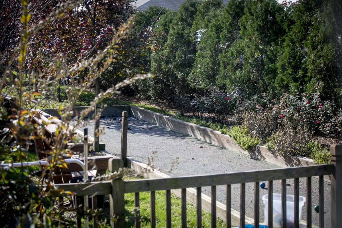 An abandoned swimming pool surrounded by trees and a wooden fence.
