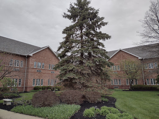 A lone evergreen tree stands amidst a well-maintained landscape in front of a brick building on a cloudy day.