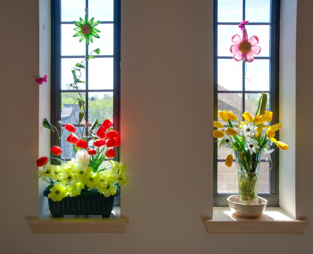 Two windows adorned with vibrant flower arrangements bask in sunlight.