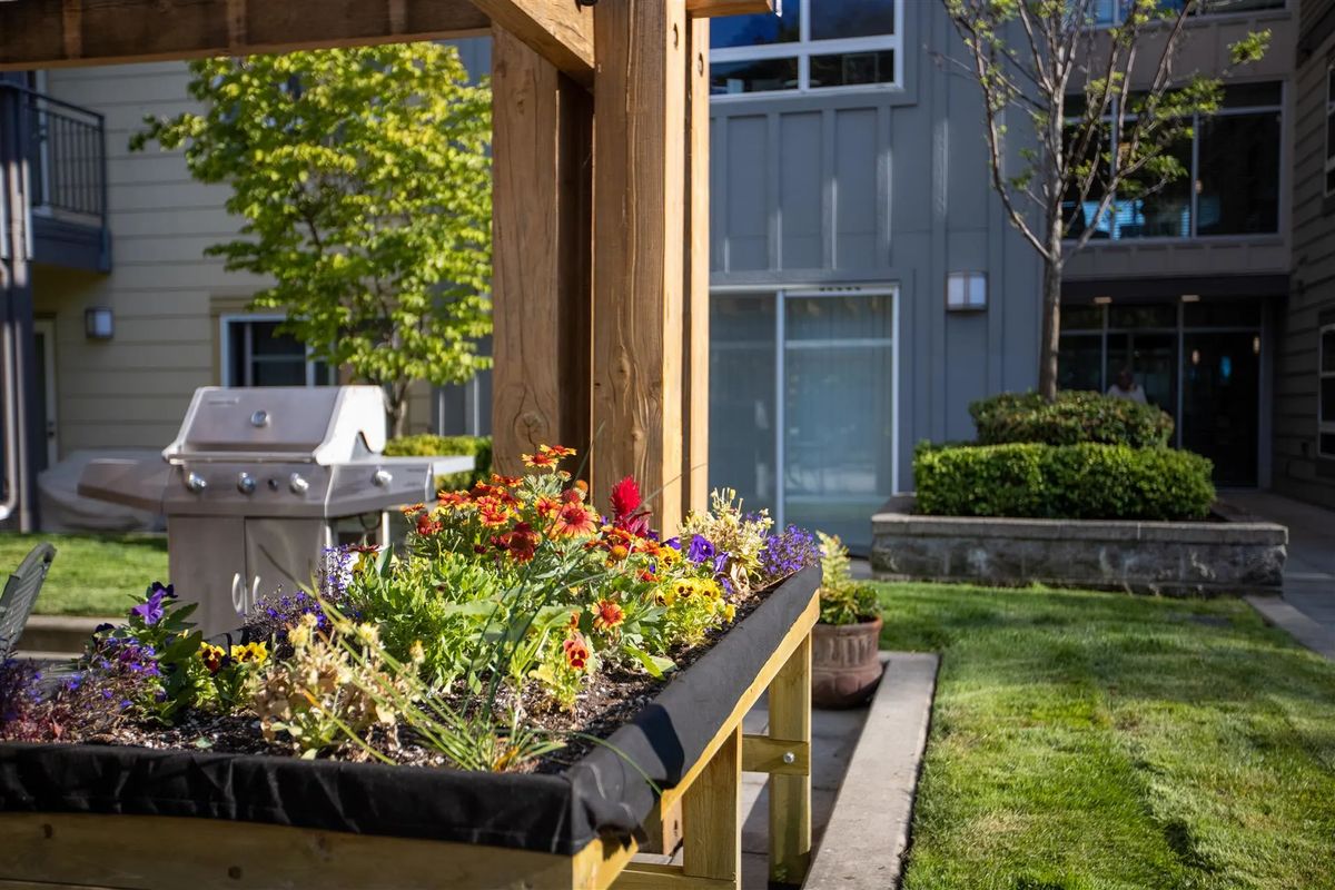 A sunny garden scene featuring a raised flower bed with colorful blooms and lush greenery.