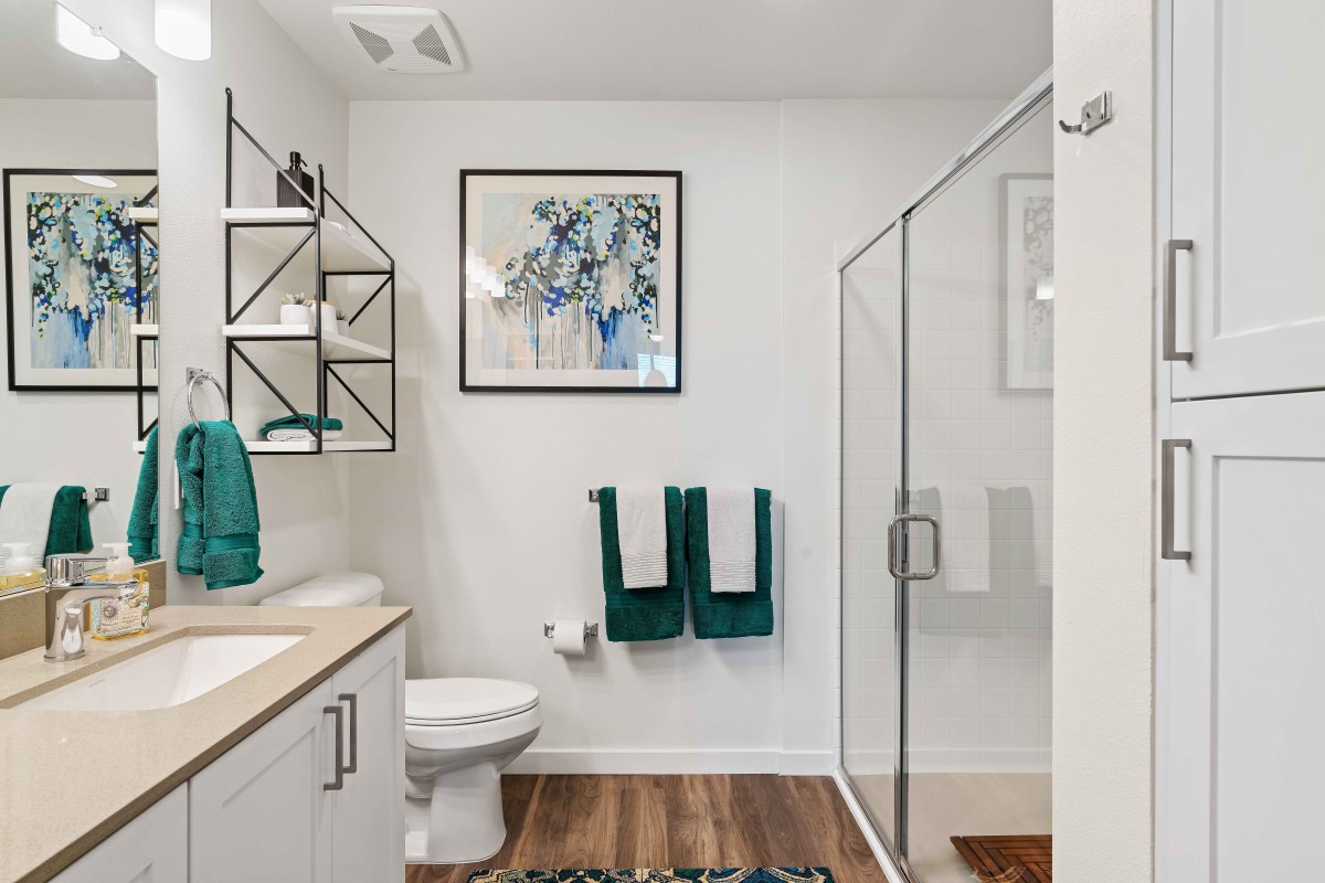 A modern bathroom with a glass shower, decorative shelving, and teal accents.