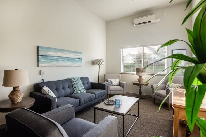 A modern living room with cozy seating and tasteful decor.