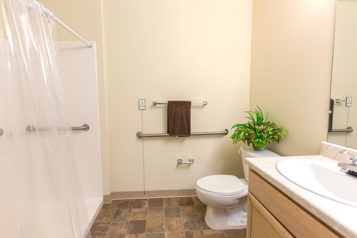 An accessible bathroom with a shower, toilet, sink, and safety grab bars.