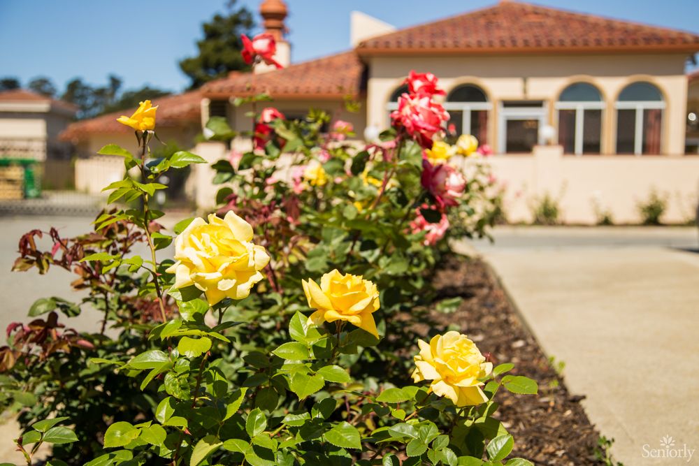A vibrant garden with yellow and red roses in front of a house.