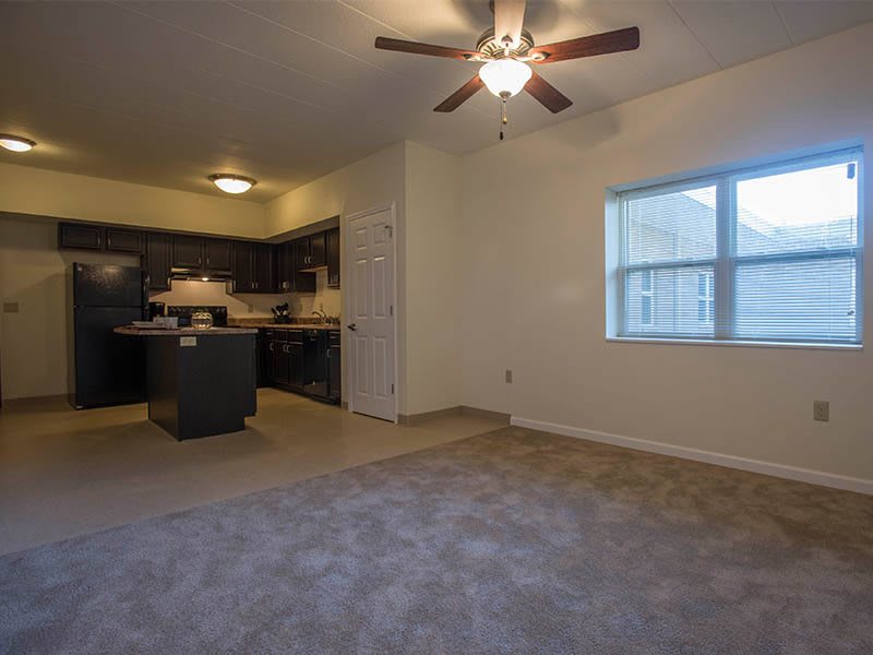 Spacious apartment with an open floor plan connecting the living room and kitchen.