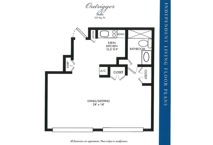 A studio apartment floor plan featuring a combined living and dining area, kitchen, bathroom, and closet space.