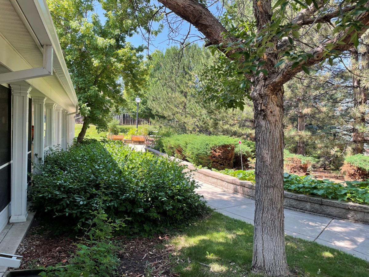 A serene garden with a walkway surrounded by trees and shrubs.