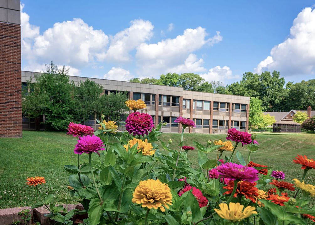 A colorful garden with various flowers in front of a modern building under a partly cloudy sky.