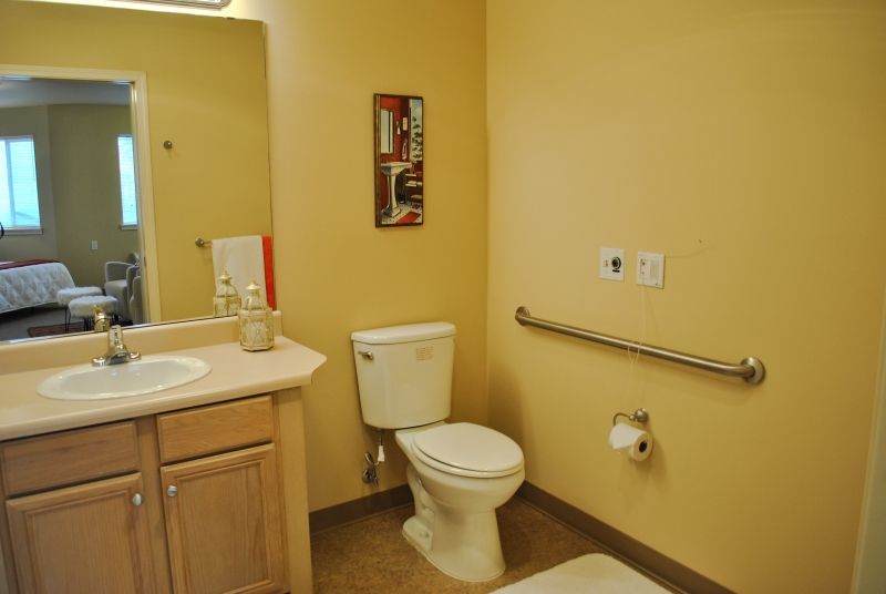 An accessible bathroom featuring a toilet with a handrail, a sink, and a mirror.