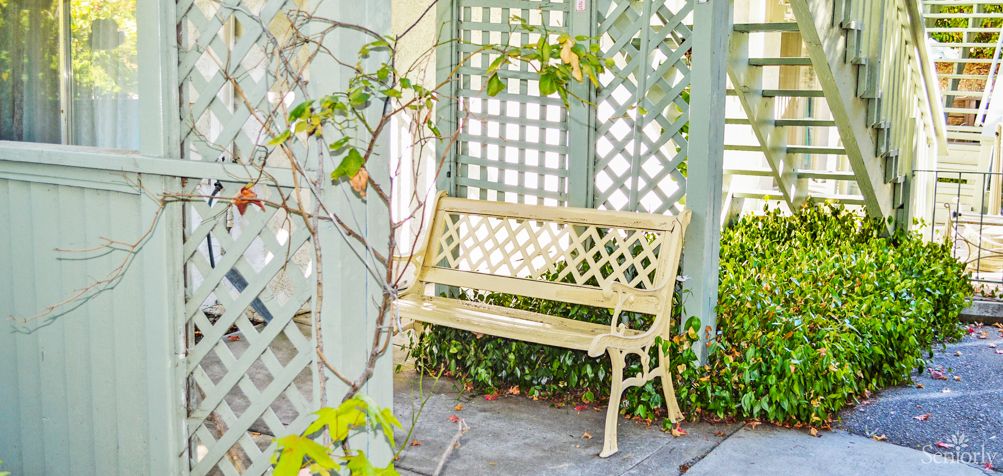 A peaceful garden bench surrounded by a lattice structure and lush greenery.