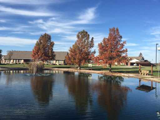 A serene view of autumn trees reflecting on a calm lake under a clear blue sky.