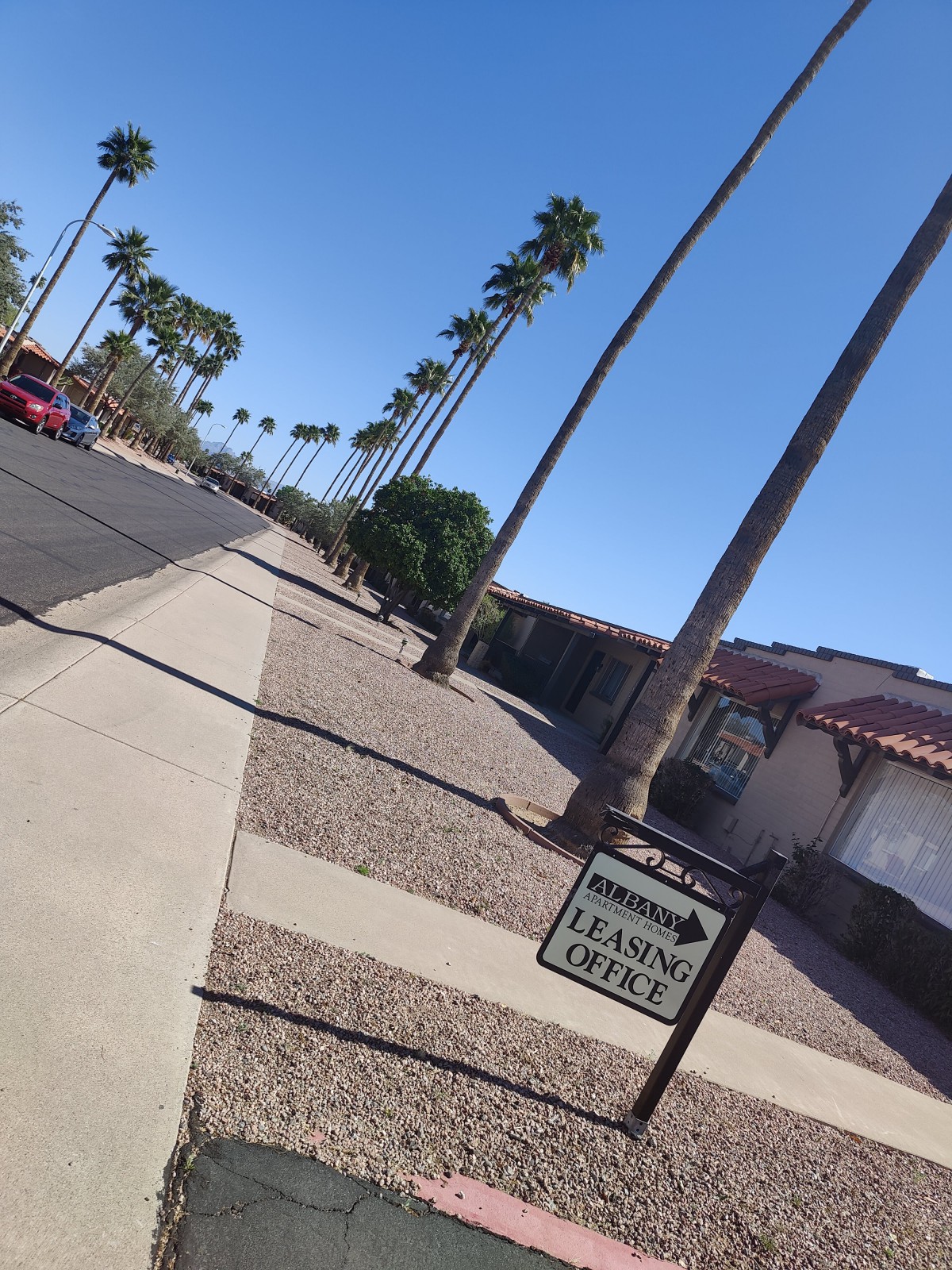 A sunny street lined with palm trees and houses in a residential area.