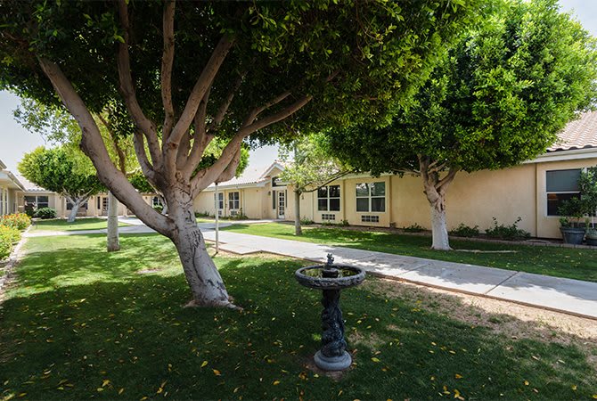 A tranquil garden scene featuring lush trees, a walkway, and a building in the background.