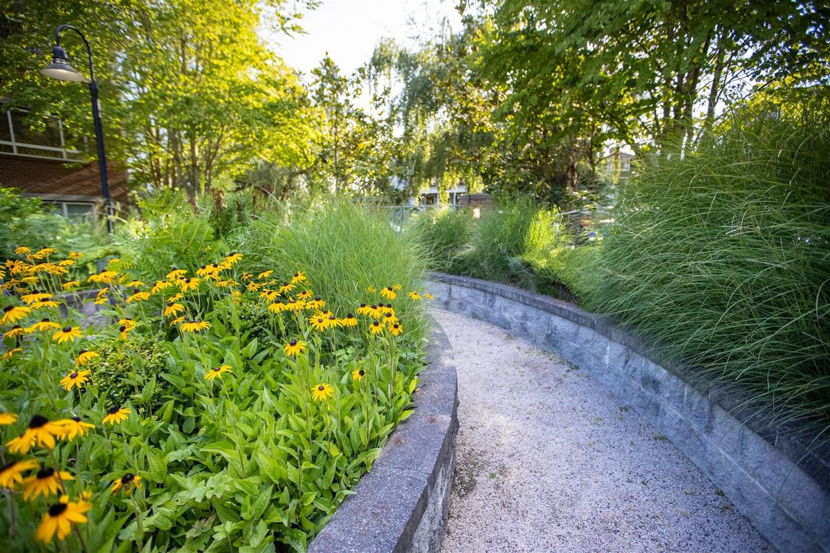 A serene garden pathway lined with vibrant flowers and lush greenery.