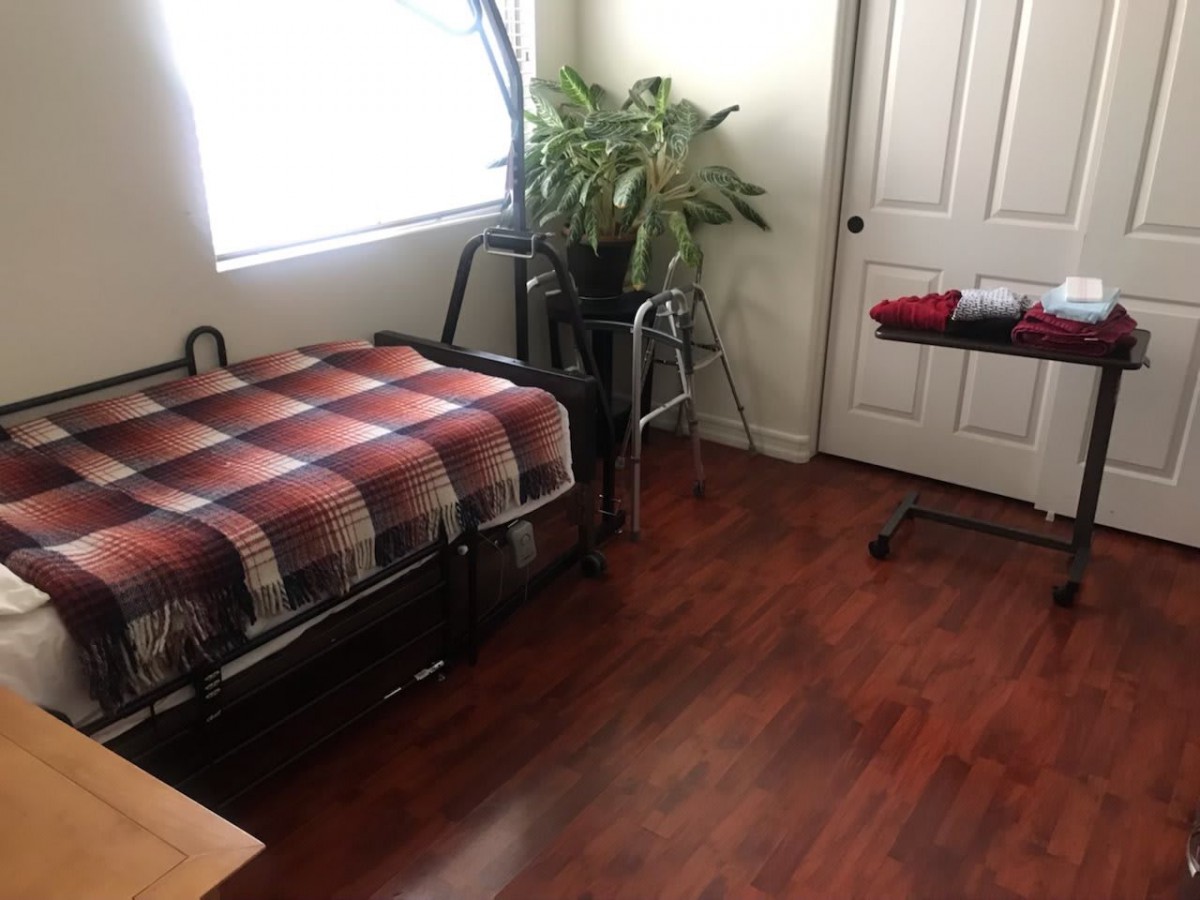 A cozy bedroom with a single bed, wooden flooring, and a potted plant by the window.