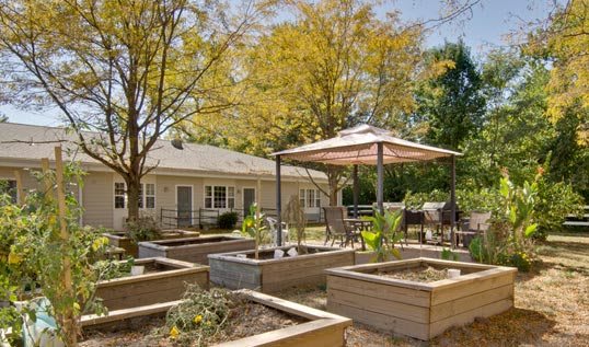 A serene outdoor garden area with raised beds and a patio umbrella, set against a house and surrounded by trees.