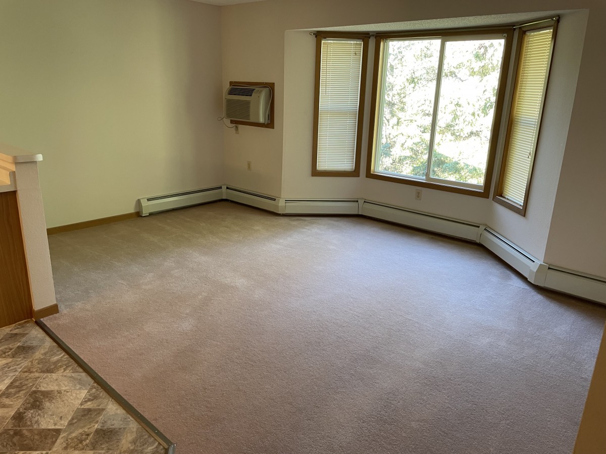 A spacious empty room with carpet, large windows, a baseboard heater, and an air conditioning unit.
