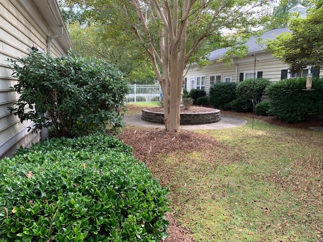 A well-maintained garden with a central tree surrounded by shrubs and grass.