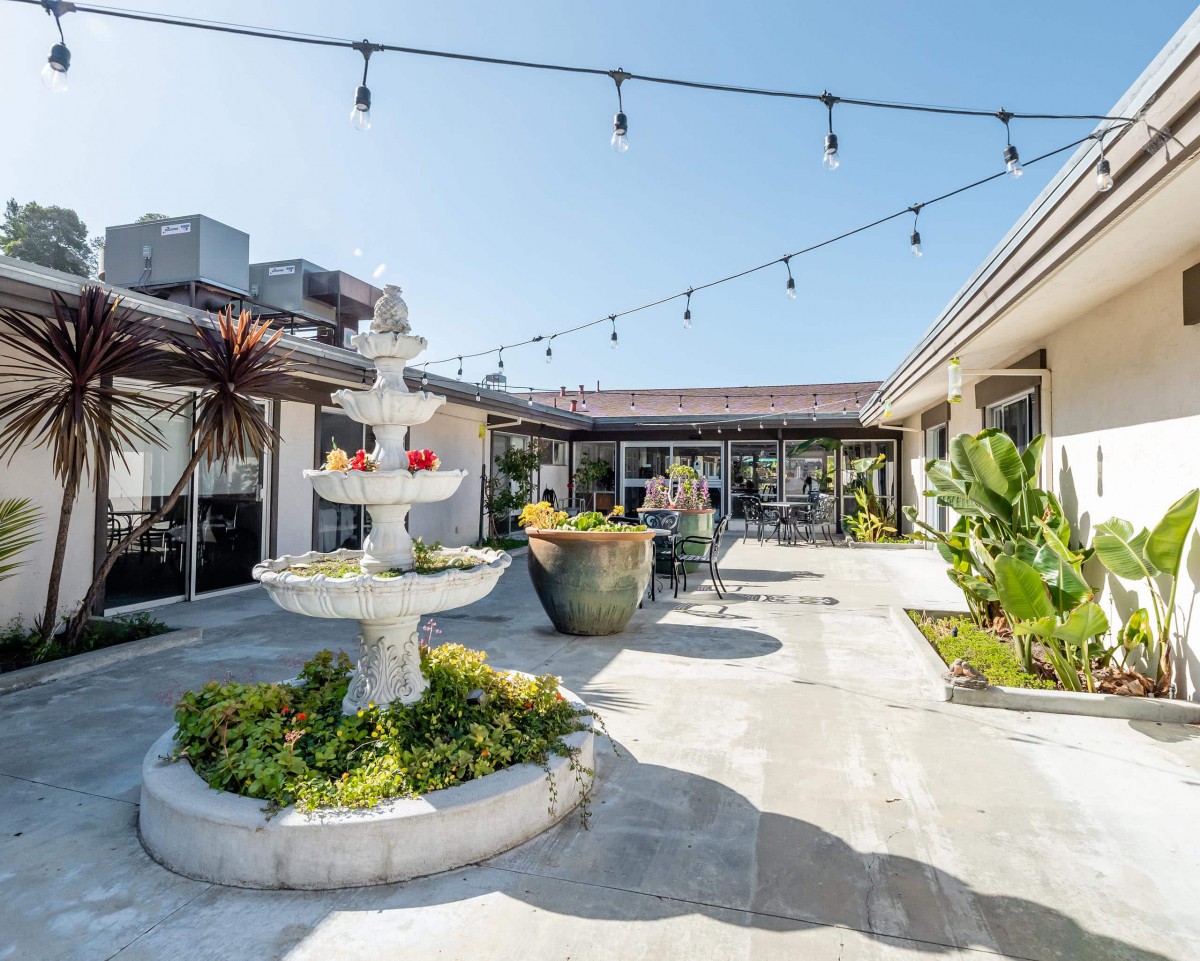 A sunny courtyard featuring a fountain surrounded by plants and strings of lights overhead.