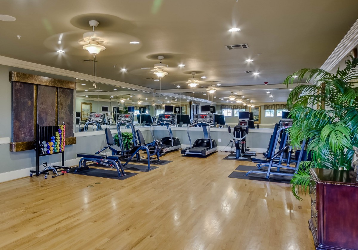 A well-equipped indoor gym with treadmills and exercise machines.