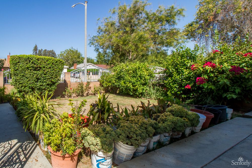 A sunny garden filled with a variety of potted plants and shrubs.