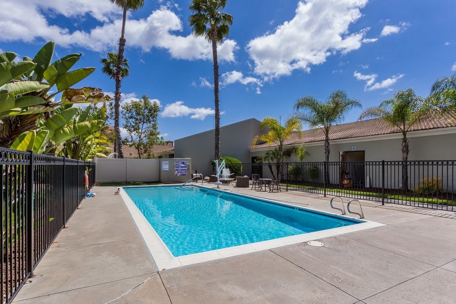A serene outdoor swimming pool surrounded by palm trees under a clear blue sky.