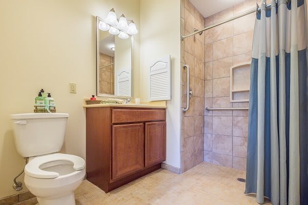 A clean and modern bathroom featuring a toilet, vanity with a mirror, and a tiled shower.