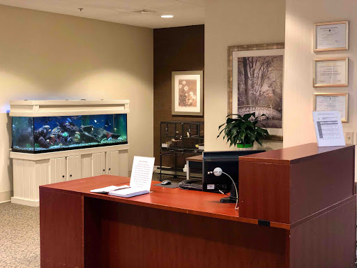 A welcoming reception area featuring a desk, aquarium, and decorative elements.