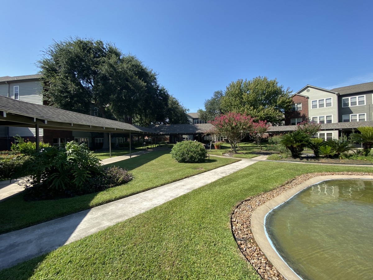 A serene garden with a pathway, pond, and surrounding trees on a sunny day.
