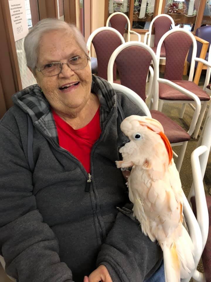 An elderly woman smiling while holding a parrot indoors.