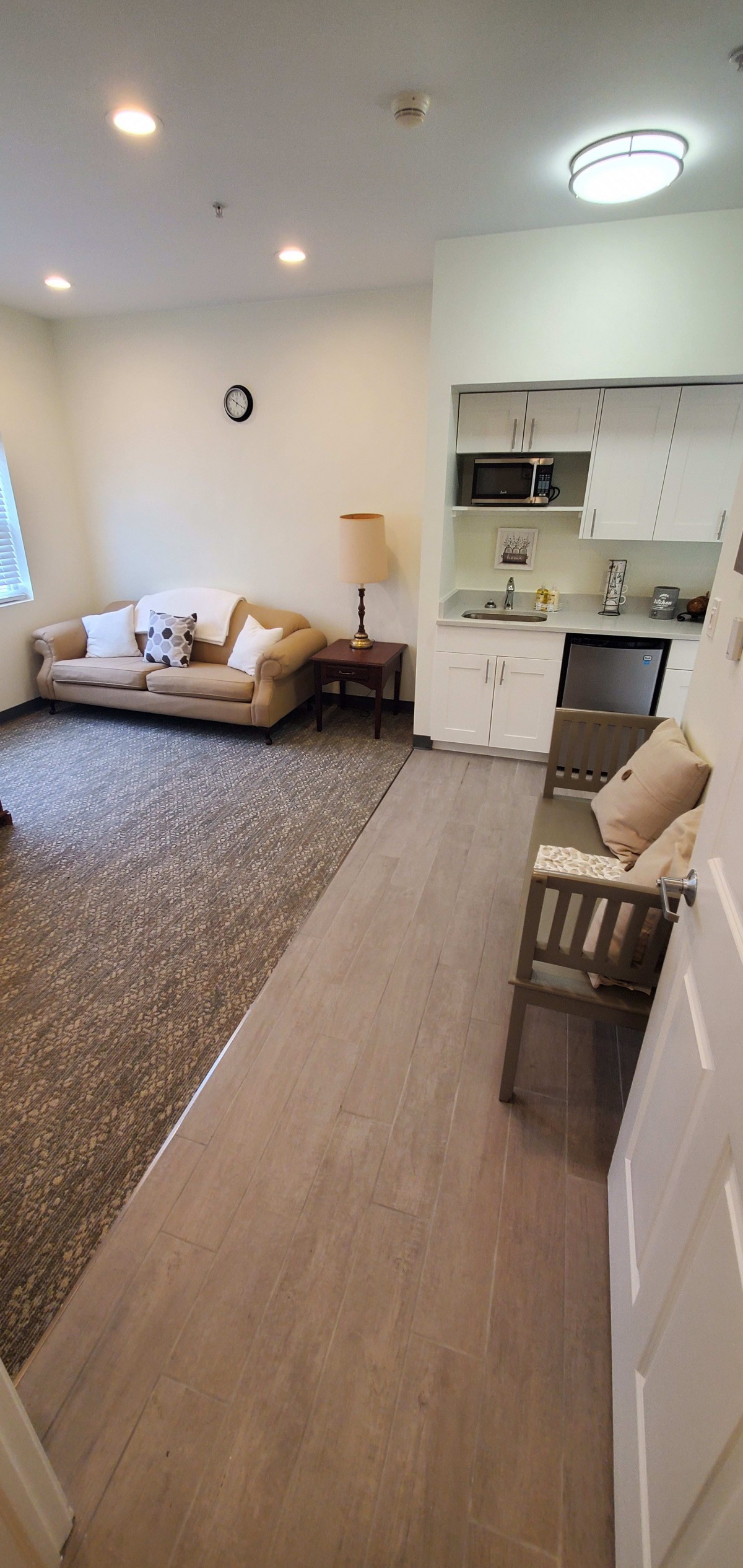 A cozy living room with a sofa, kitchenette, and modern decor.
