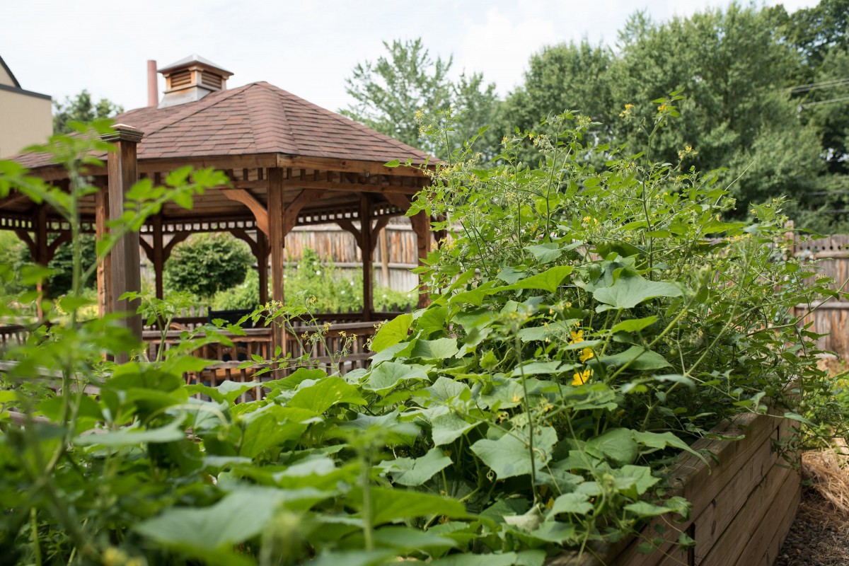The Terrace at Eddy Memorial