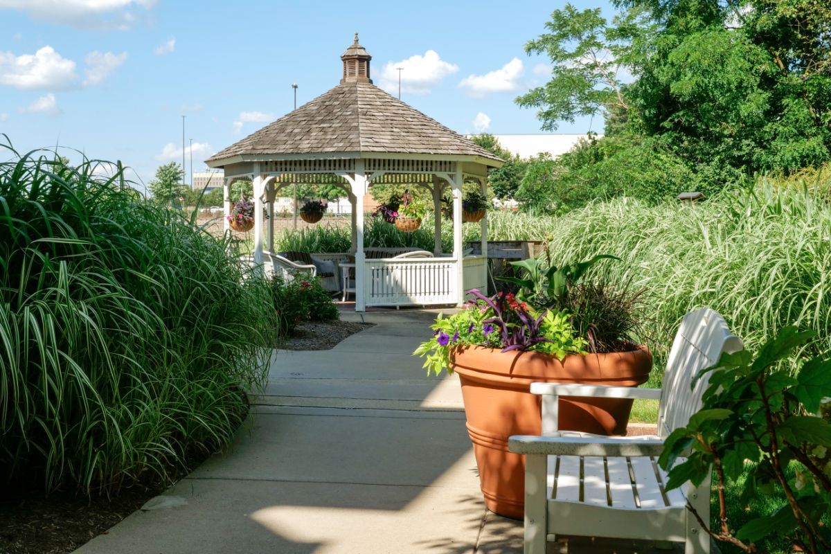 A peaceful garden scene featuring a pathway leading to a gazebo, surrounded by lush plants and flowers.