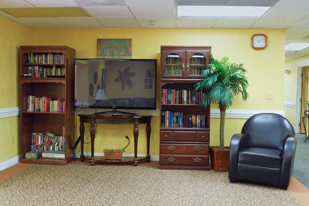 A cozy living room with bookshelves, a television, and an armchair.