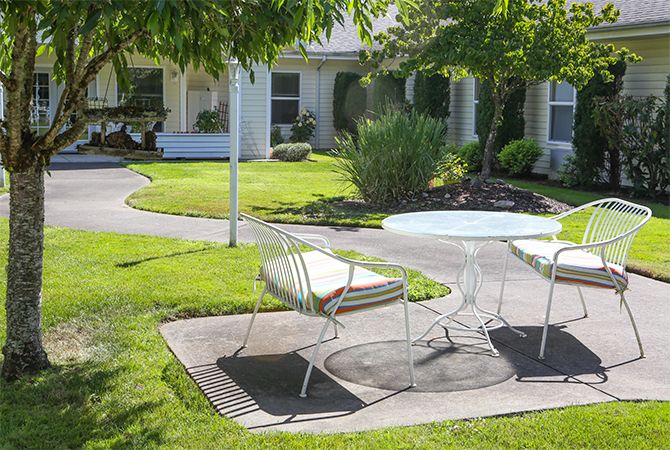 A sunny garden patio with a white table and metal chairs surrounded by greenery.