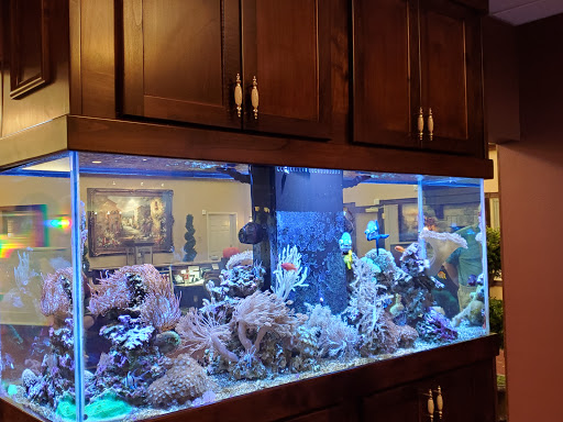 A beautifully designed marine aquarium showcasing vibrant corals and colorful fish, illuminated by soft blue lighting.