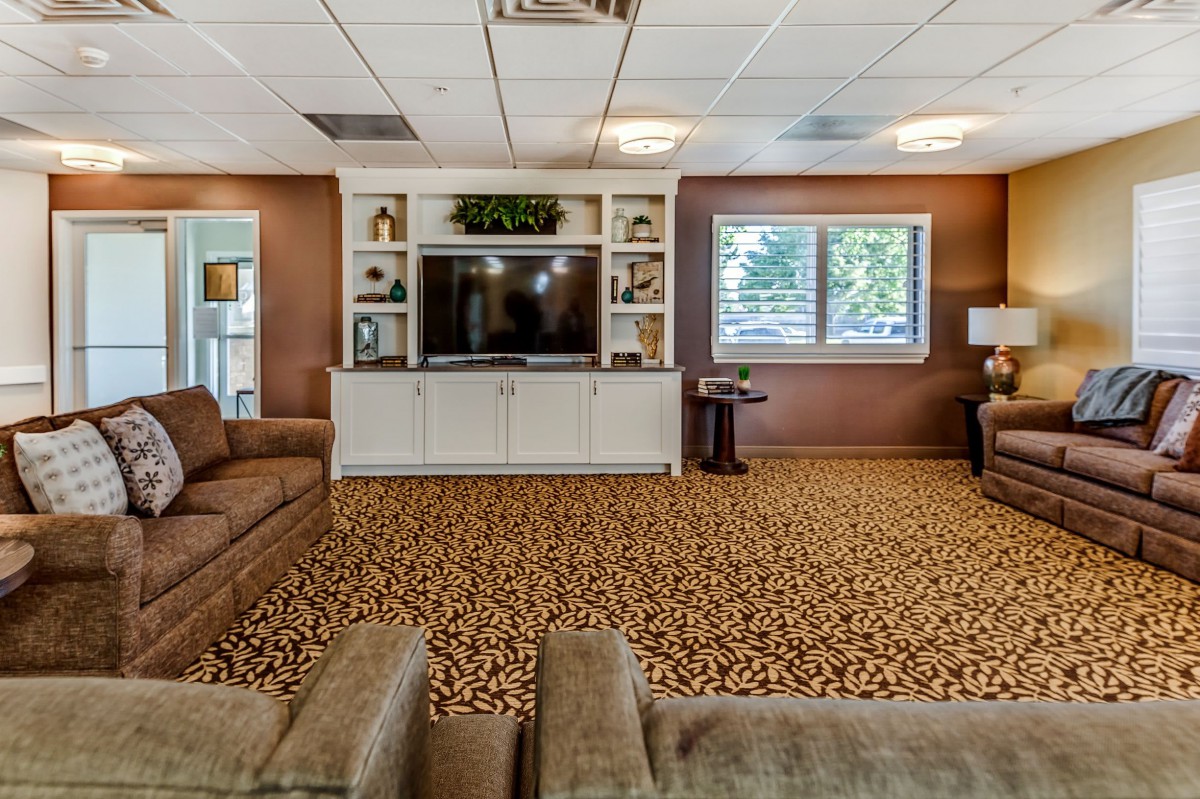A cozy living room with comfortable sofas, a large television, and decorative shelves.