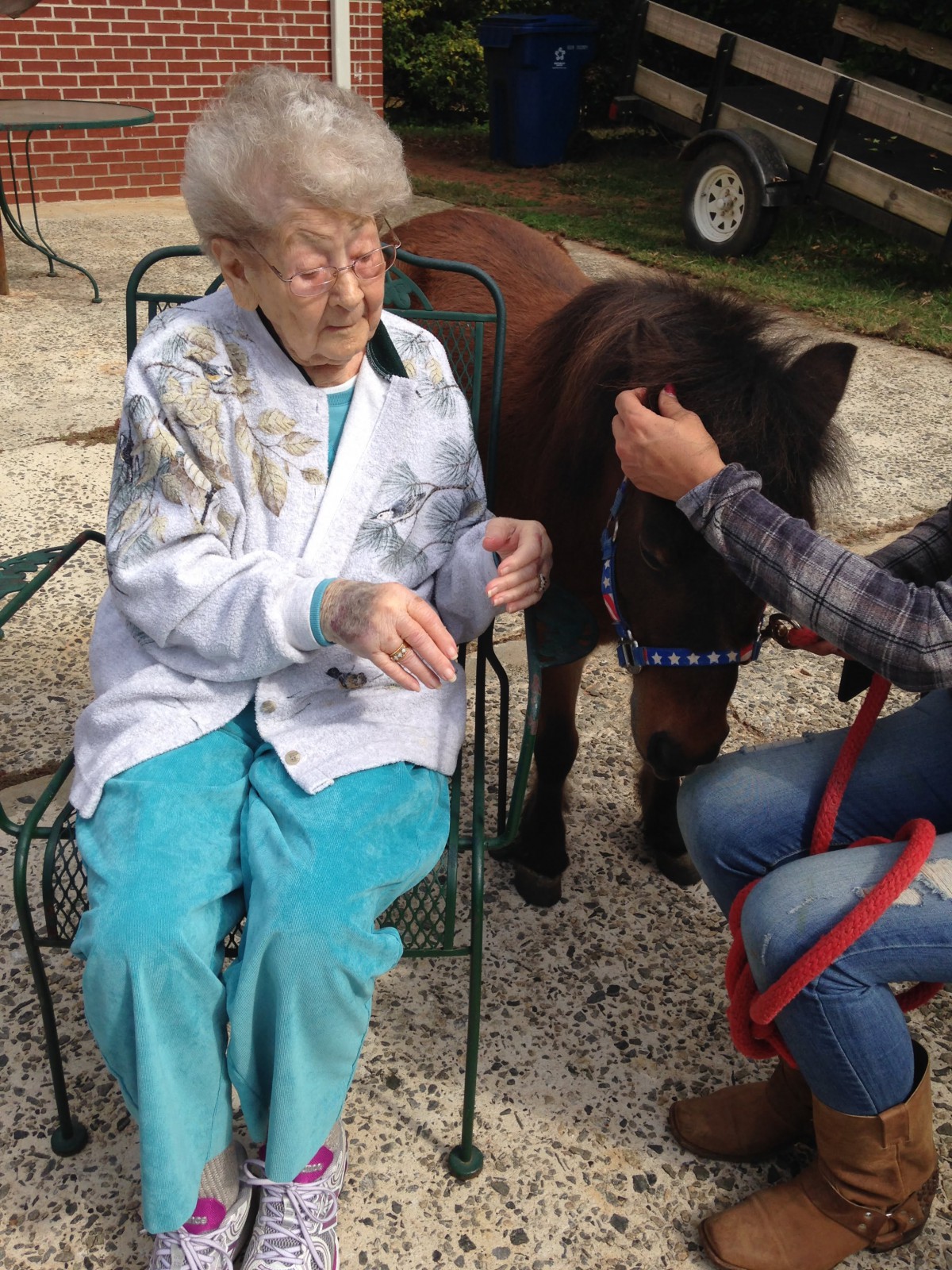 An elderly woman sitting outdoors, interacting with a small horse.