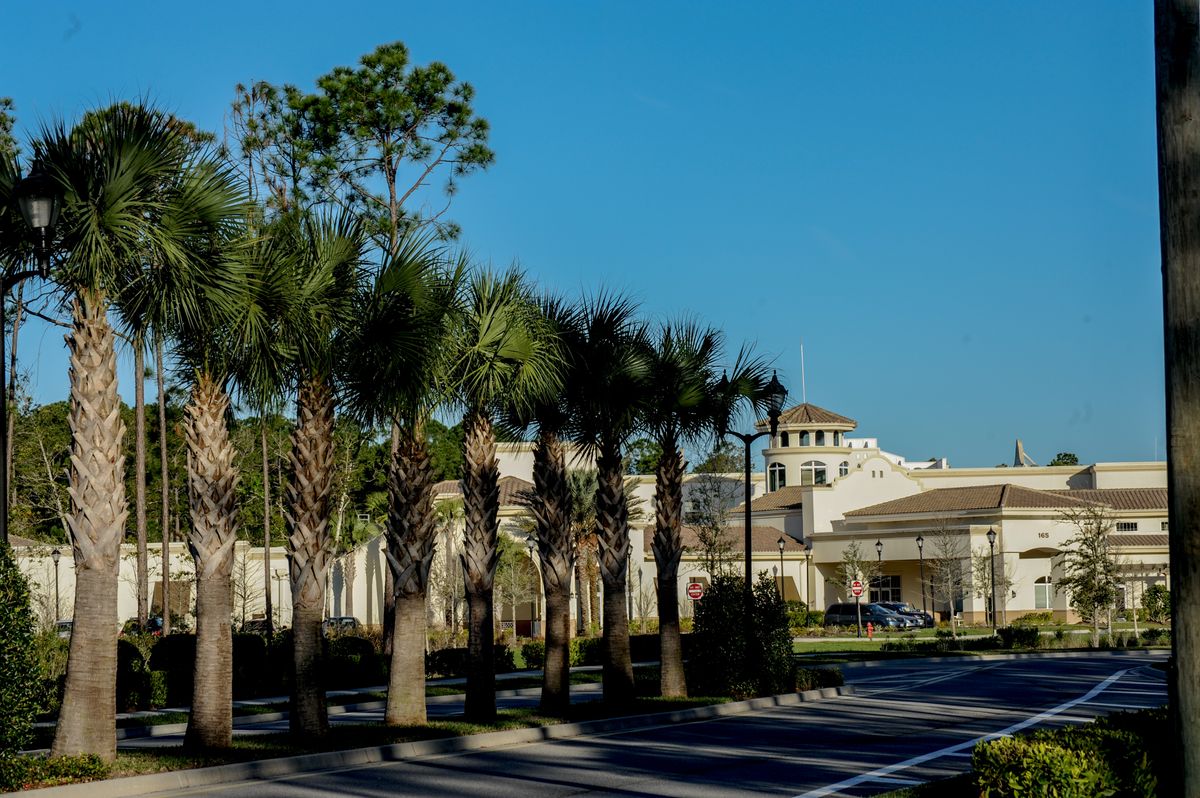 A sunny day with palm trees lining the entrance to a large building.