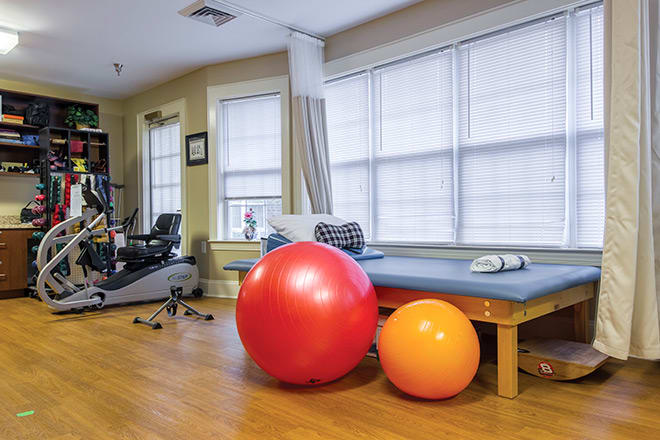 A therapy room equipped with exercise balls and fitness equipment.